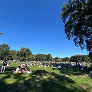 Meet your Posher, Meghan